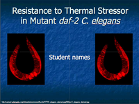 Example student presentation title