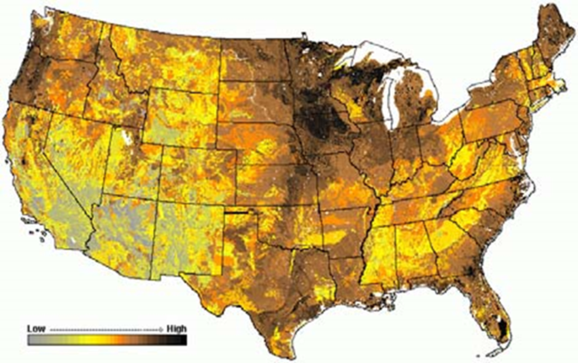 soil-organic-matter