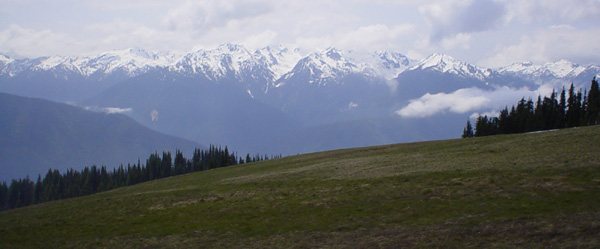 A view in Olympic National Park