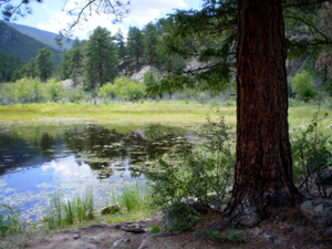 A view in Rocky Mountain National Park