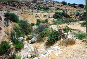erosional feature in jordanian desert