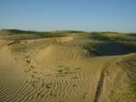 Land