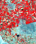 Mexicali