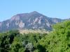 The view from Colorado State University