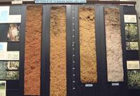 Soil Monoliths Ivory Coast