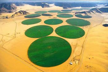 Picture of irrigated fields