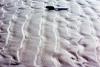 Beach ripples Kitty Hawk NC