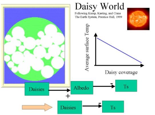 Daisy World Explanation 1 of 3