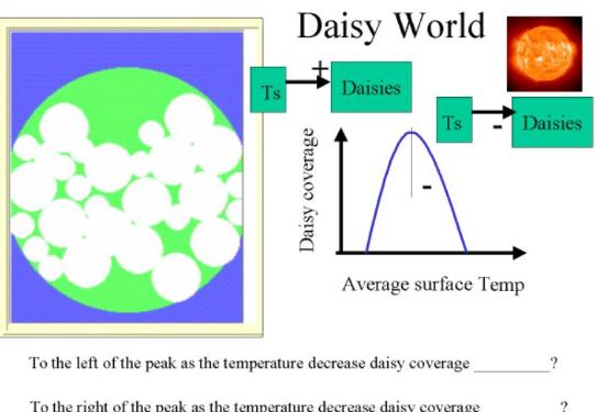 Daisy World Explanation 2of 3