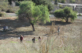 Students measuring vertical uplift on a local fault