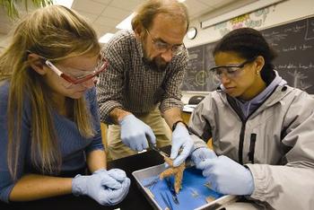 Undergraduate Research in Bio 3