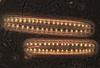 Diatoms from Mono Lake CA.