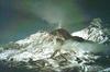 Bezymianny, one of Kamchatka