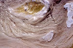 Filamentous bacteria of Mammoth Hot Springs in Yellowstone National Park