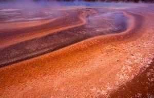 Thermophile mats of Grand Prismatic, the largest hot spring in Yellowstone National Park.