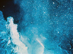 Deep-sea vent locale