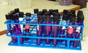 Lactic Tubes