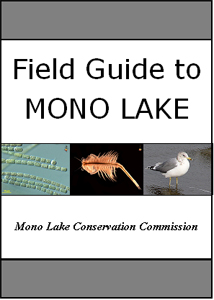 Cover of Mono Lake Field Guide