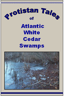 Protistan Tales of Atlantic White Cedar Swamps book cover