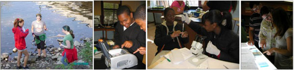 Students studying Wolbachia