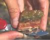 Picture of a microbial mat sample.