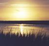 Dawn over the marsh.