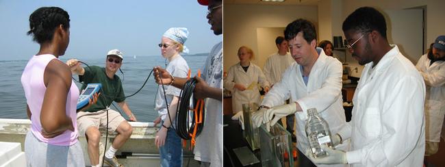 Measuring water parameters from the Chesapeake Bay and thin layer chromatography.