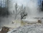 Mamoth Hot Springs in Yellowstone National Park.
