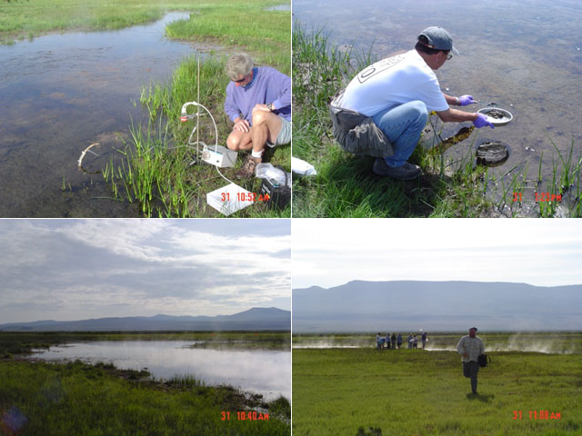 Series of pictures of pools in Suprise Valley includin a thermal swamp