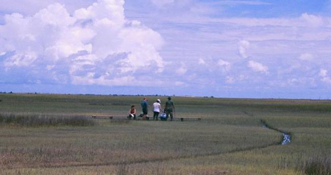 Students in the open marsh