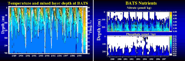 Graphs of nutrient mixing and temperature variability