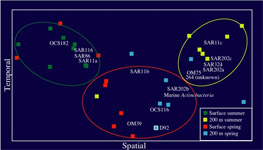 Figure showing bacterial community composition.
