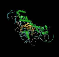 Image of a protein structure