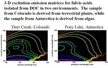 Fluorescense analysis output data