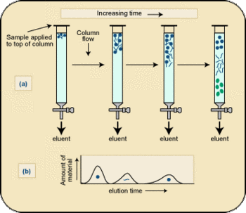Schematic diagram of an ion chromatograph