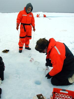 Scientists measure primary productivity under ice