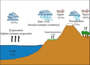 Diagram of isotope fractionation