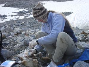 Measuring dissolved oxygen by the Winkler Method