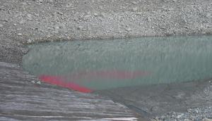Rhodamine dye shows water flow path in the lake.