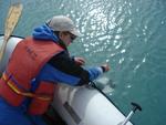 Using a Secchi disk to measure turbidity
