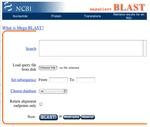 Image of the Mega BLAST front page in NCBI