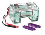 Gel Box used for electrophoresing DNA.