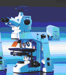 Image of a Fluorescent Microscope
