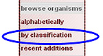 Browse Classification menu in micro*scope