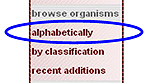 Browse Organisms link in micro*scope