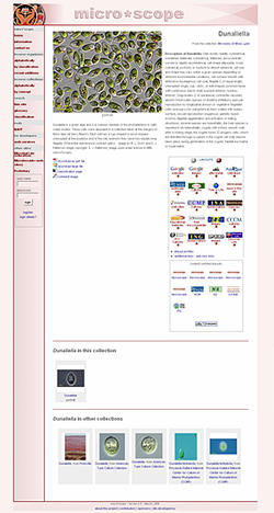 micro*scope asset page
