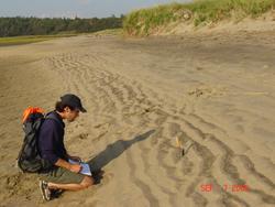CoastalFieldActivity_Image2