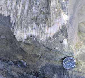 picture of slickenlines