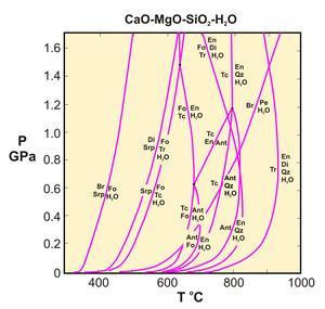 CMSH petrogentic grid