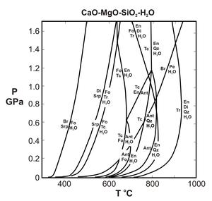Reactions in the system CMSH